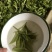 普洱茶
