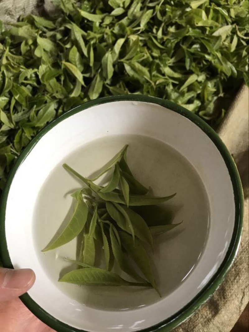 普洱茶