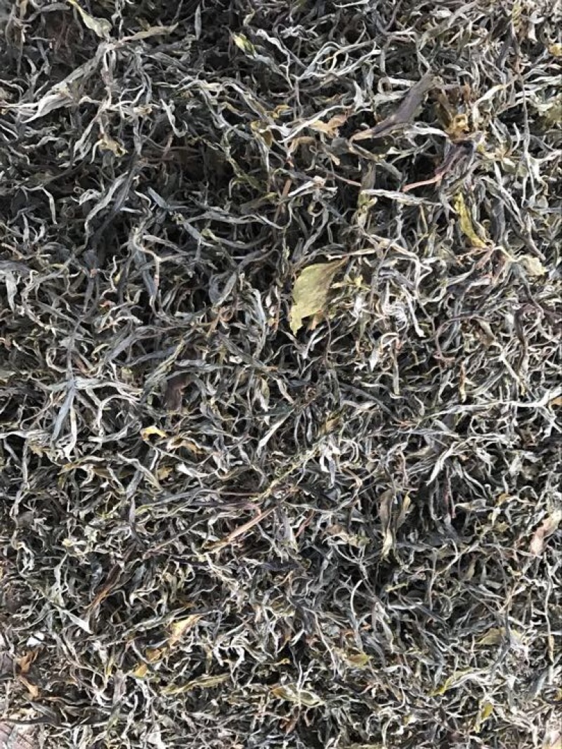 普洱茶