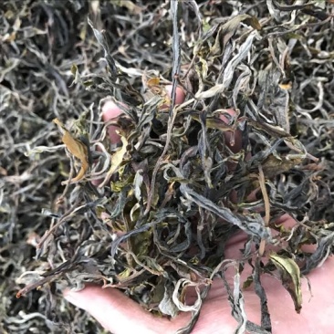普洱茶