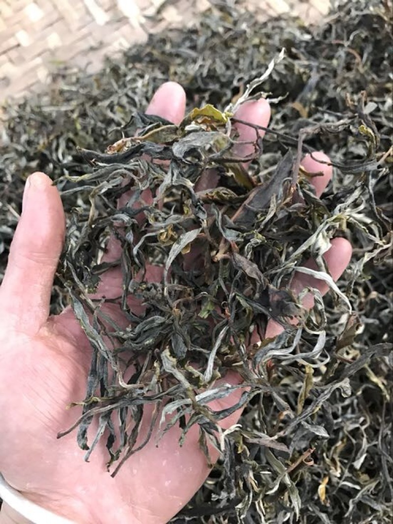 普洱茶