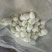 大蒜5.5~6cm鲜蒜紫皮大蒜面积大产量高