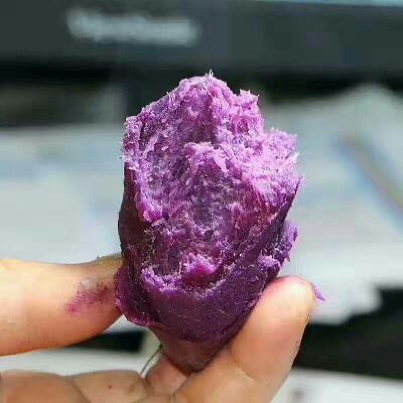 紫薯2两以上紫心
