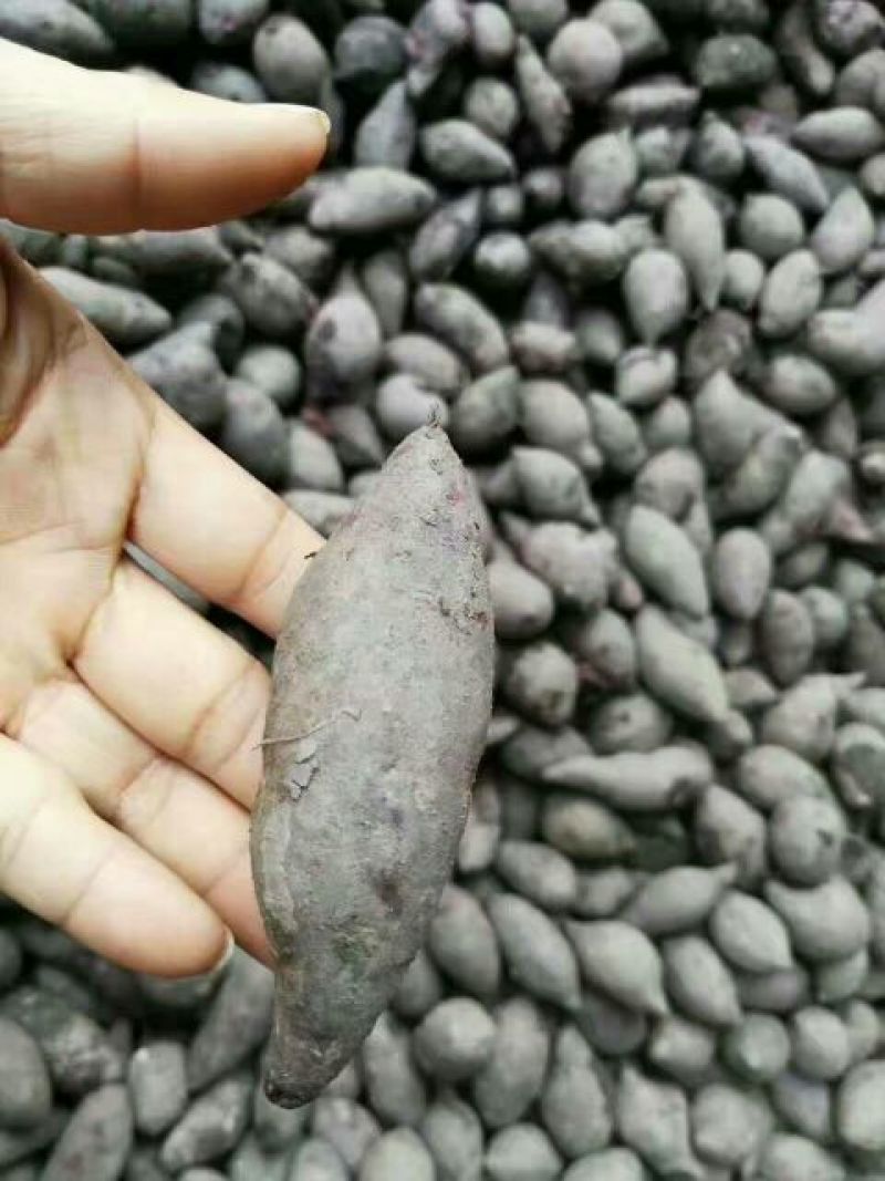 紫薯2两以上紫心
