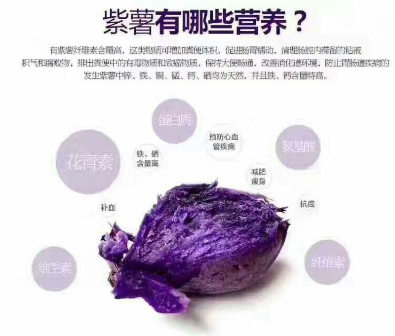 紫薯2两以上紫心
