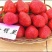 全明星草莓苗10~20cm