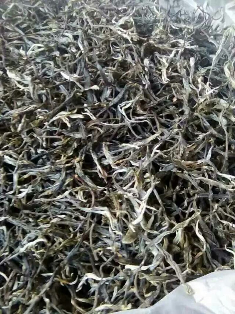 古树茶特级