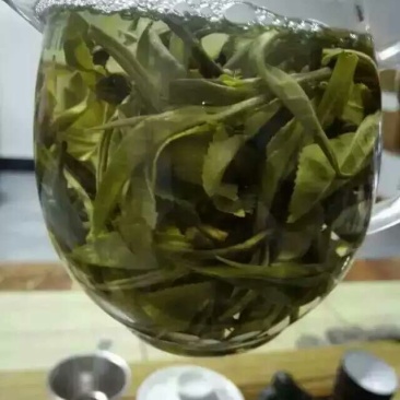古树茶特级