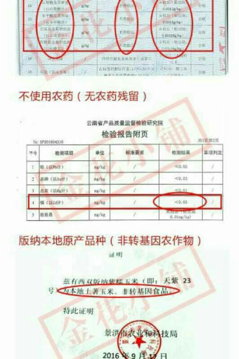 糯玉米1月上旬上市
