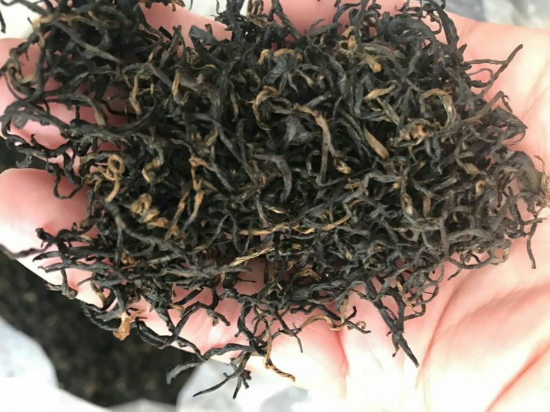 祁门红茶特级