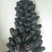 葡萄苗1年30~50cm