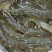 基围虾食用冰鲜虾