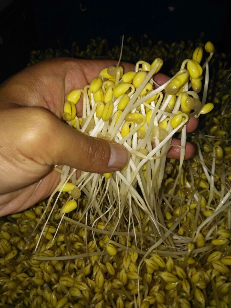 豆干