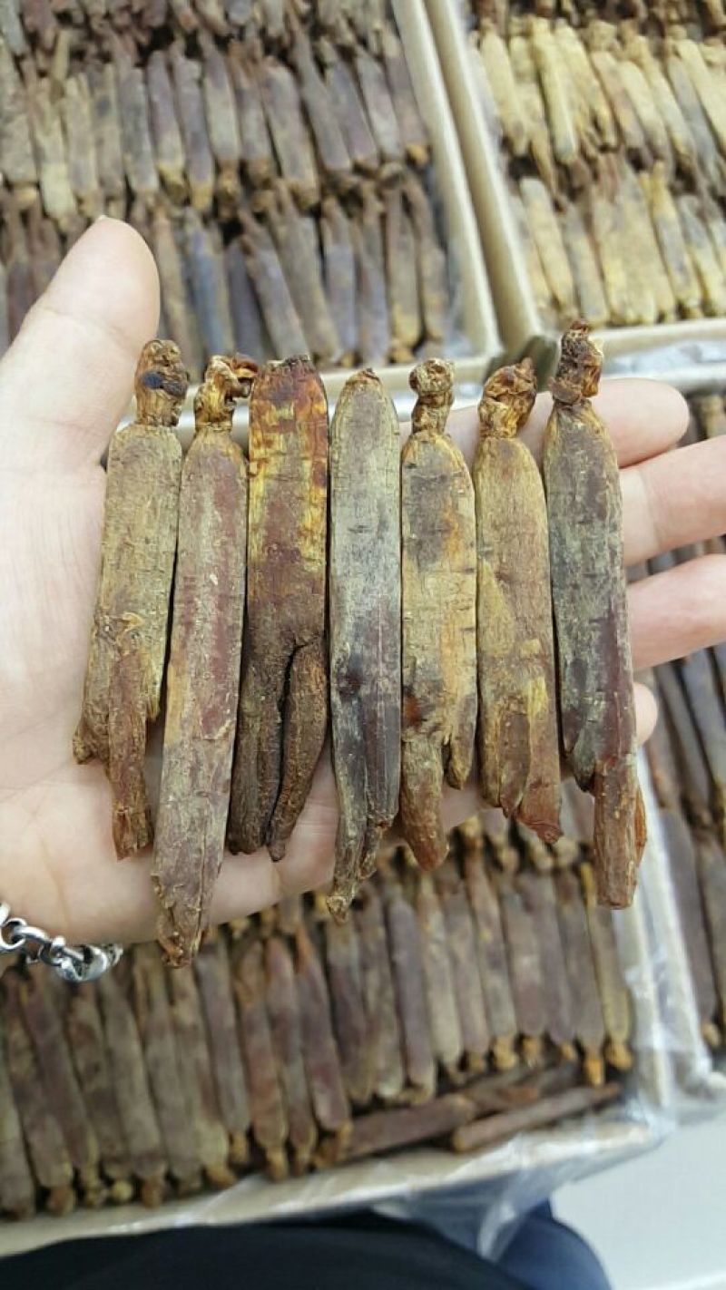 红参