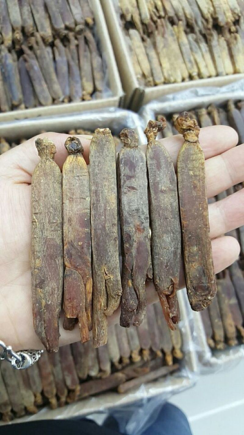 红参