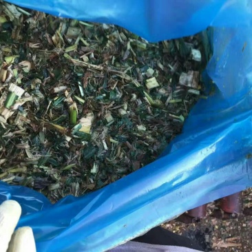 青储饲料48个月