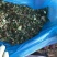 青储饲料48个月