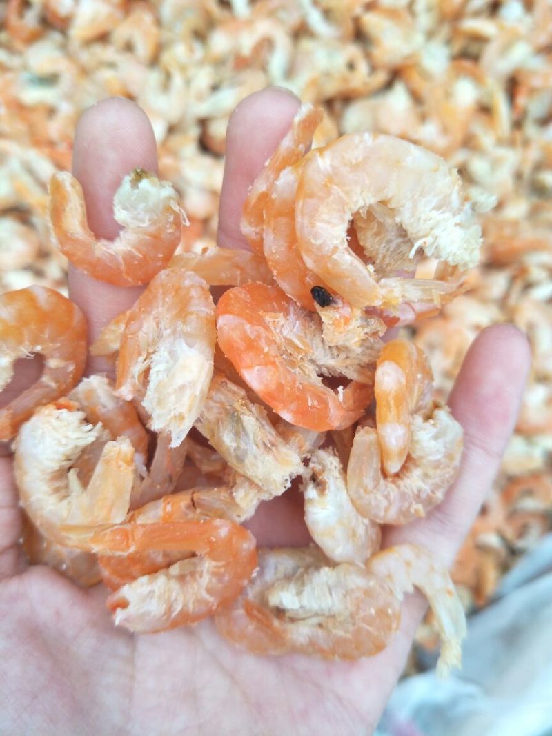 山东渤海湾对虾干无盐淡干海米对虾米脱皮现货