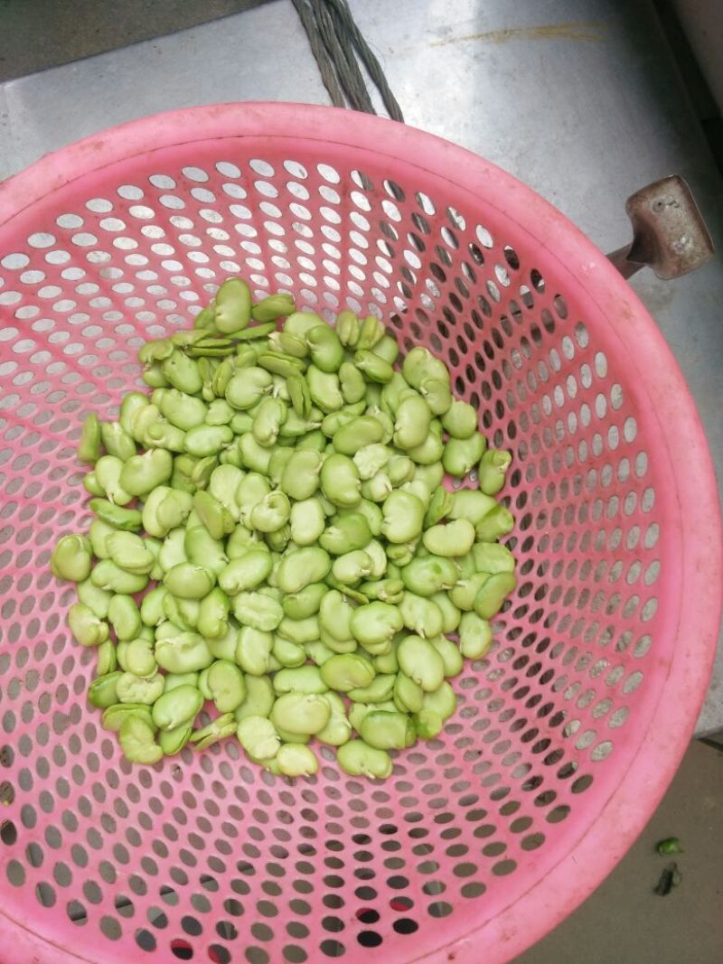 豆瓣