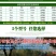 花盆加厚塑料种花种菜花瓣仿陶瓷花盆厂价直销