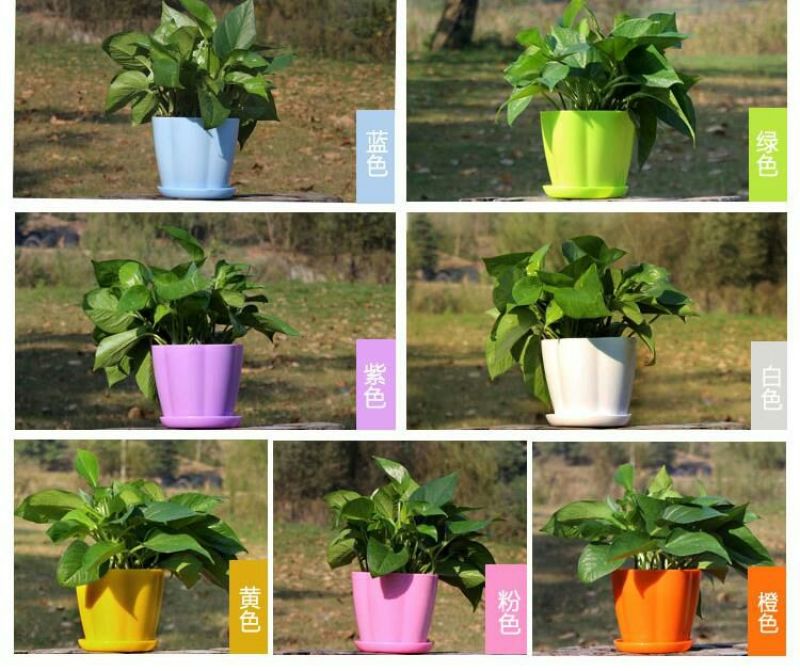花盆加厚塑料种花种菜花瓣仿陶瓷花盆厂价直销