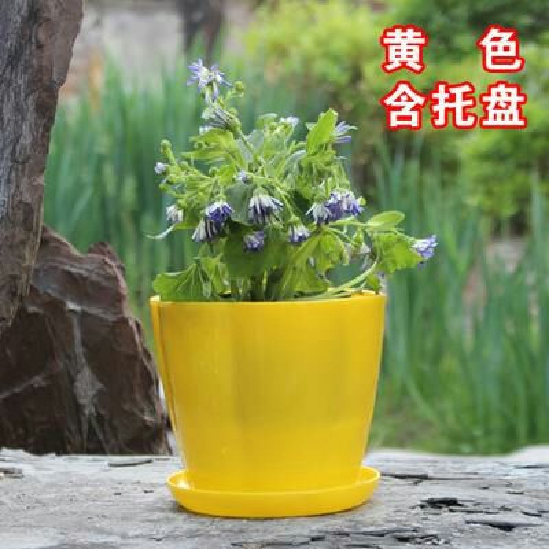 花盆加厚塑料种花种菜花瓣仿陶瓷花盆厂价直销