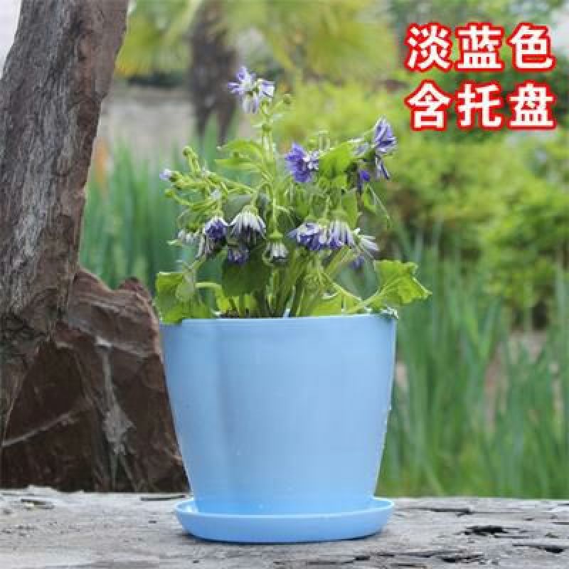 花盆加厚塑料种花种菜花瓣仿陶瓷花盆厂价直销
