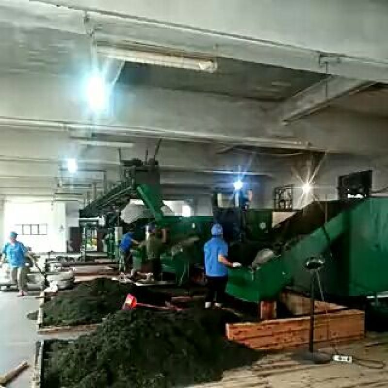绿茶二级