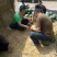 山东大棚甜王西瓜上市中，西瓜大，大西瓜甜又甜