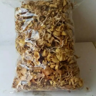 陕西野生黄丝菌10斤起批包邮