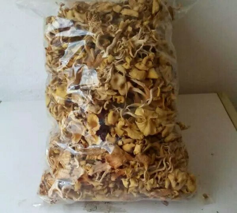 陕西野生黄丝菌10斤起批包邮