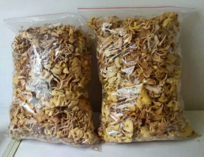陕西野生黄丝菌10斤起批包邮