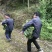 粽叶、箬叶、粽子叶、新鲜粽叶、竹粽叶、包粽子、粽子包裹、