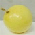 百香果苗10~20cm