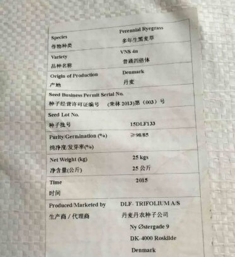多年生宽叶黑麦草种子6斤/亩包邮
