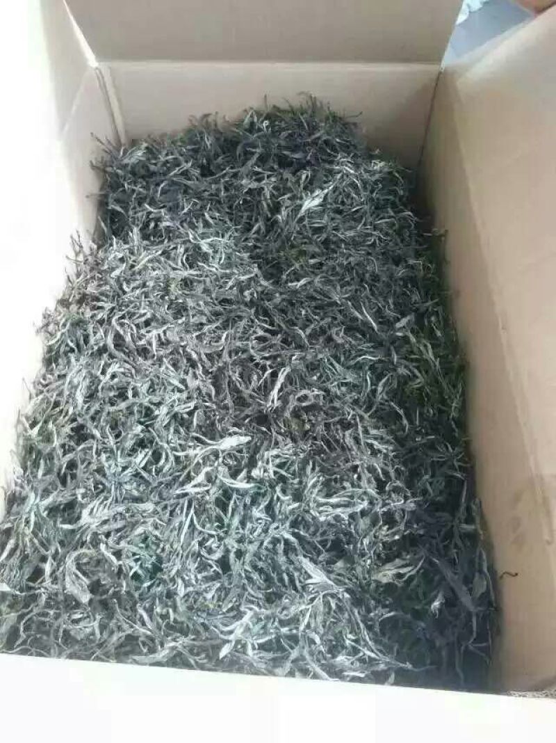 百年大树茶特级