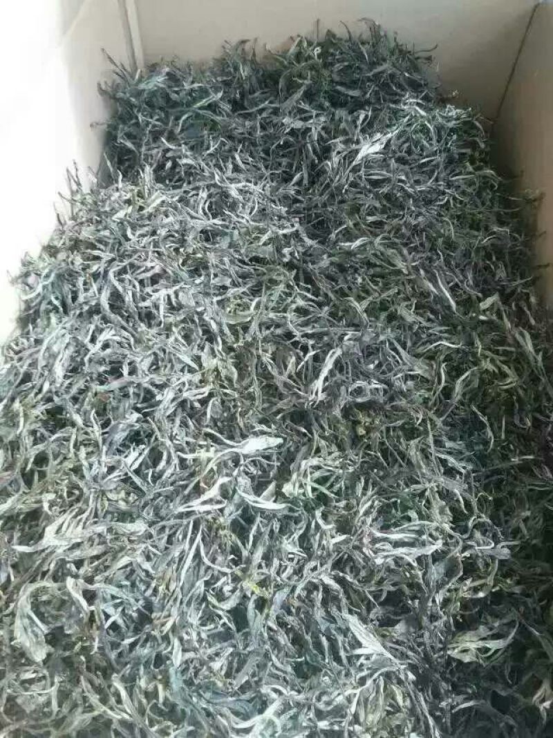 百年大树茶特级