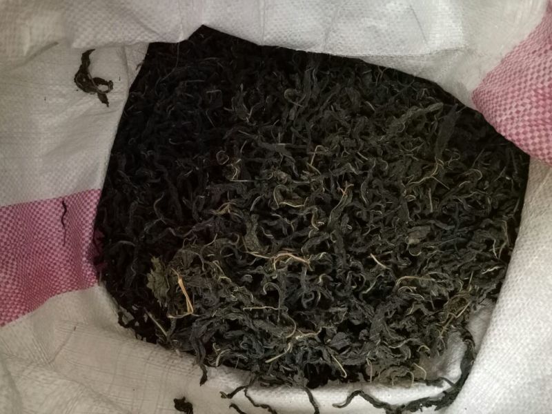 芝麻叶中叶