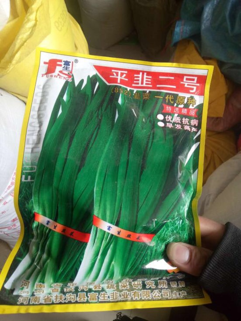 韭菜种子