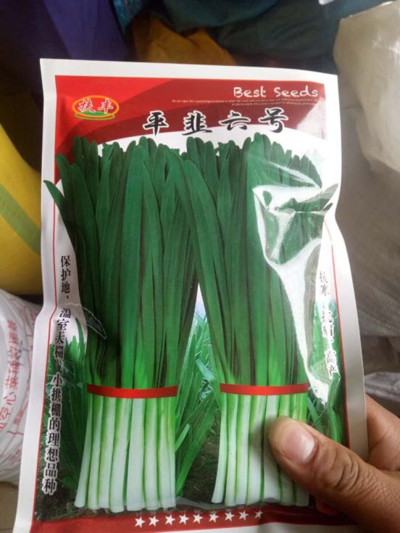 韭菜种子