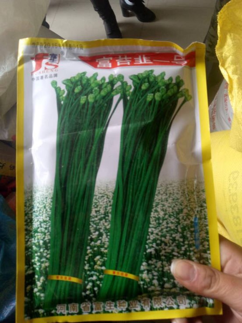 韭菜种子