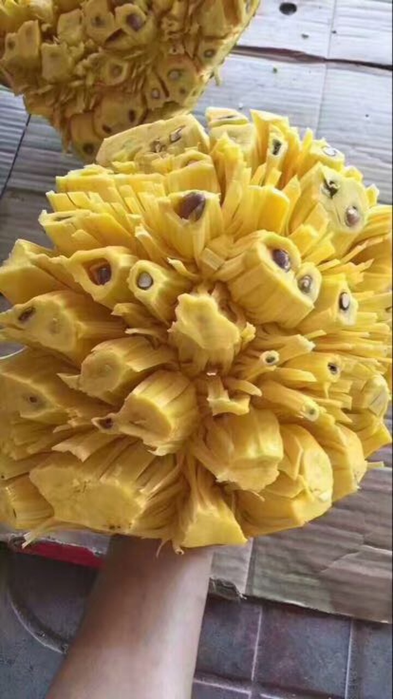 菠萝蜜