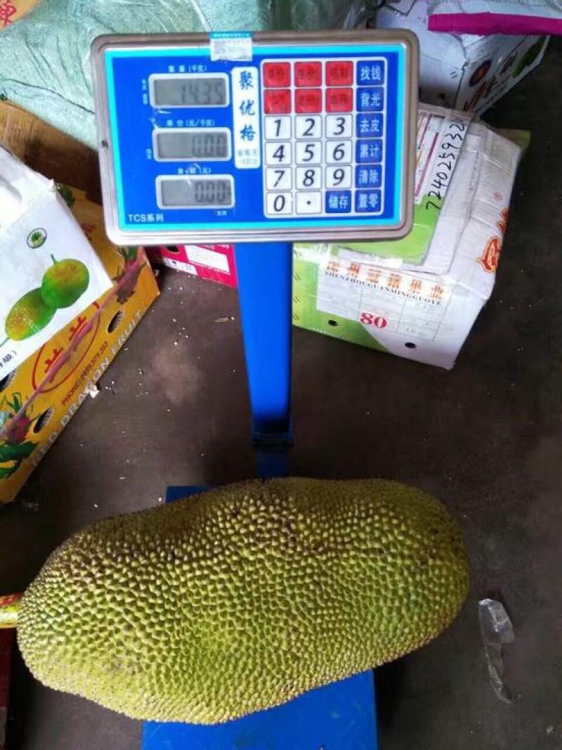 菠萝蜜