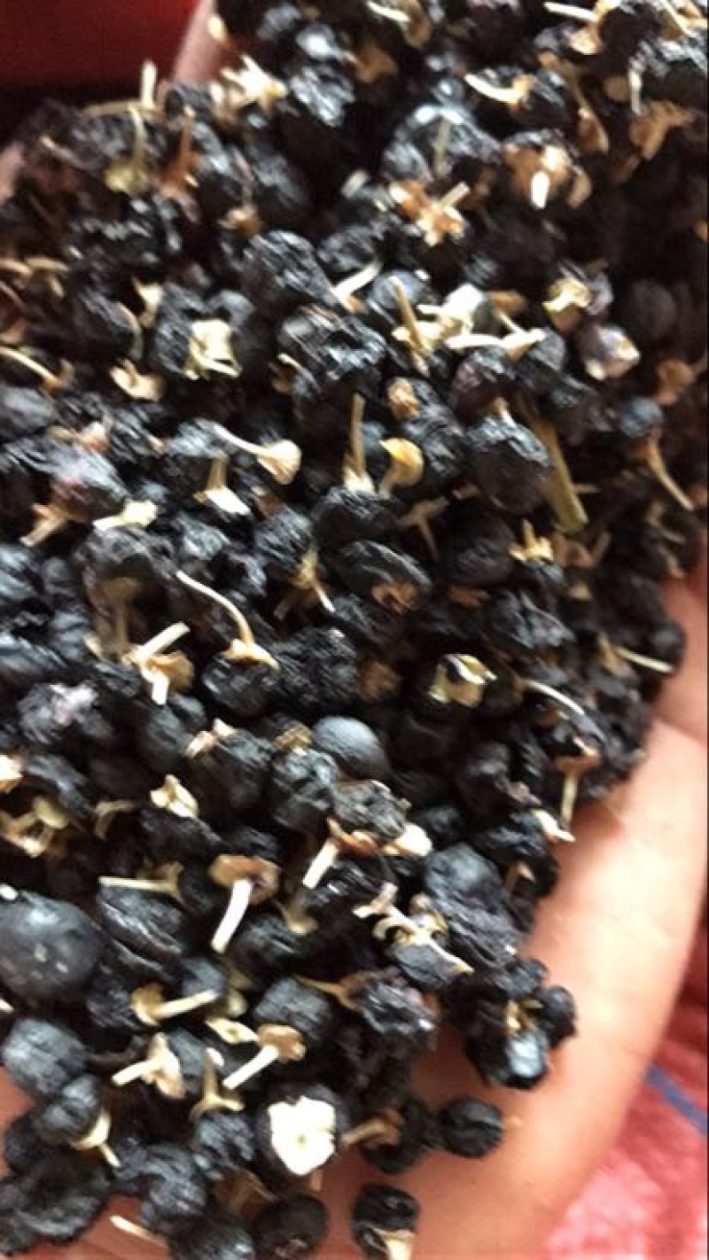 黑枸杞干货头茬