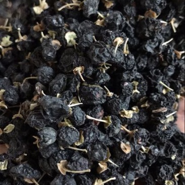 黑枸杞干货头茬