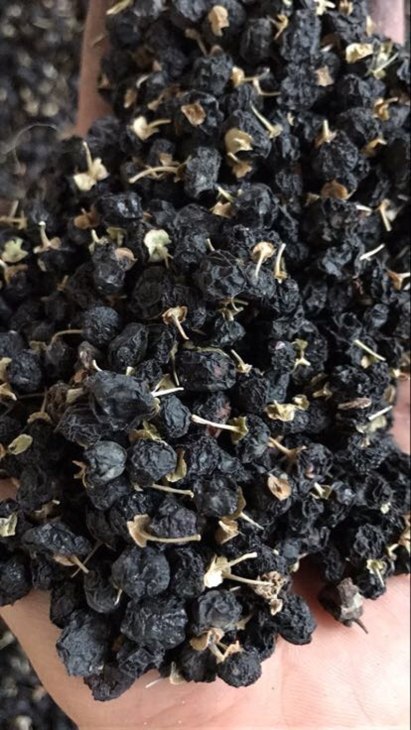黑枸杞干货头茬