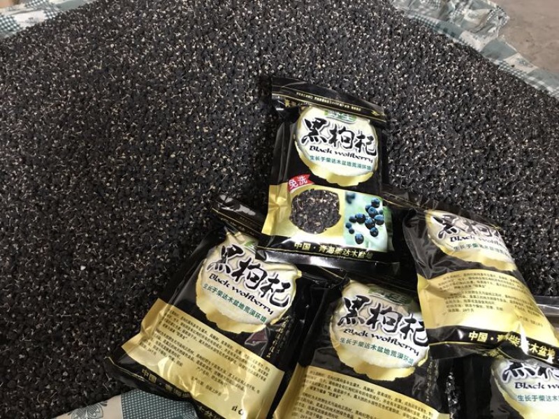 黑枸杞干货头茬
