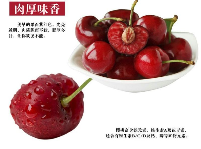 美早樱桃苗2年50~80cm