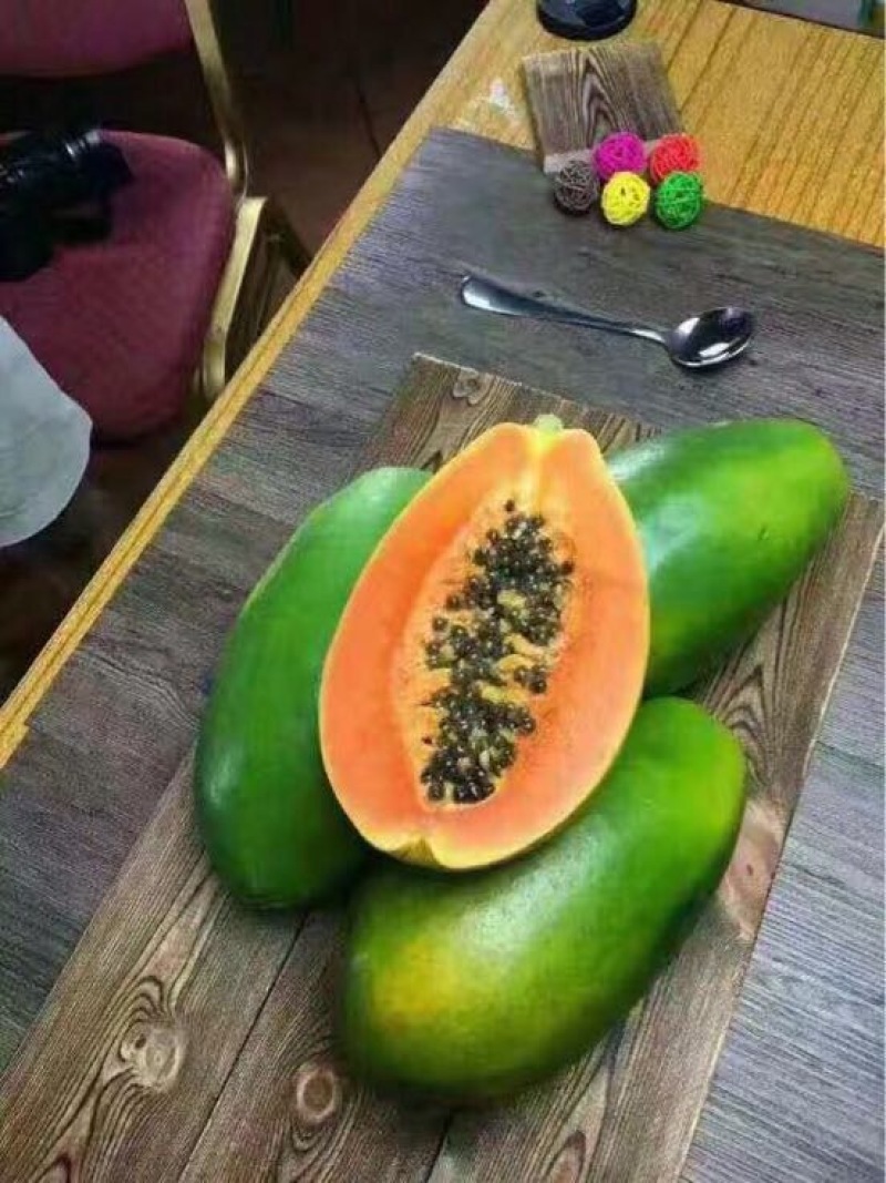 木瓜树苗