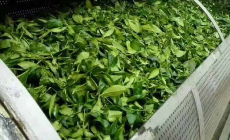 岩茶